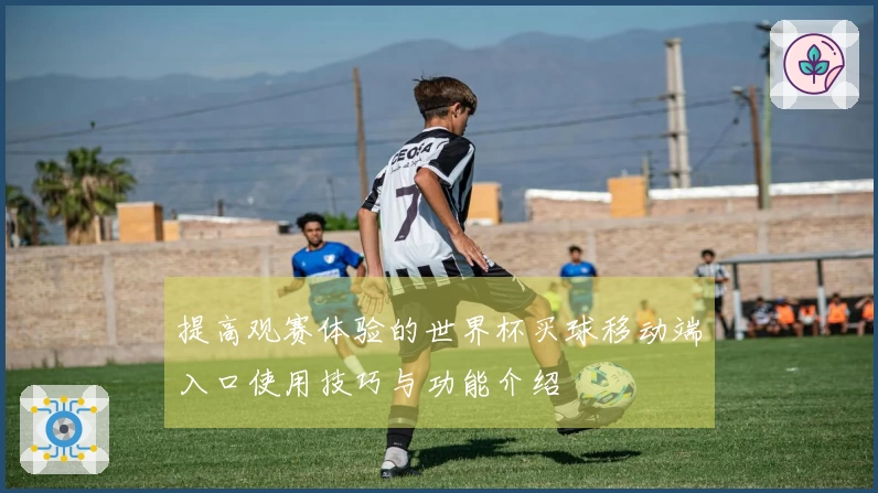 提高观赛体验的世界杯买球移动端入口使用技巧与功能介绍