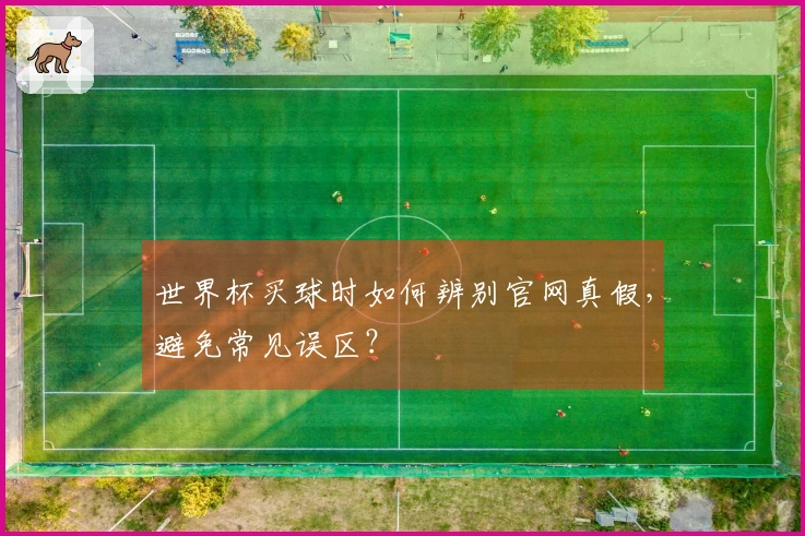 世界杯买球时如何辨别官网真假，避免常见误区？