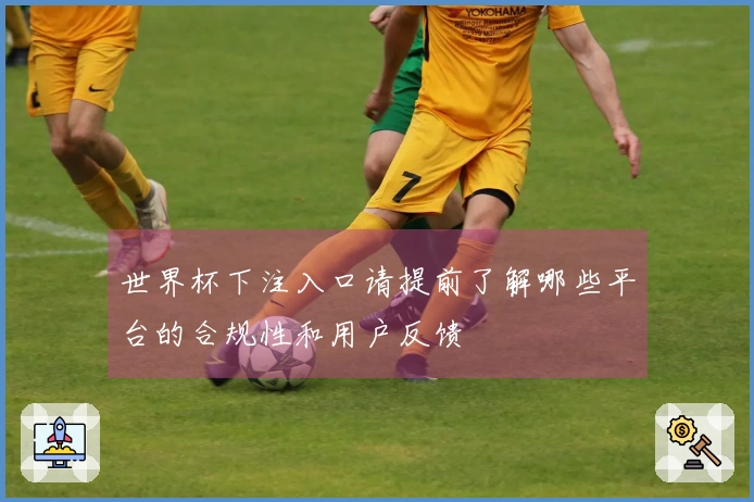 世界杯下注入口请提前了解哪些平台的合规性和用户反馈