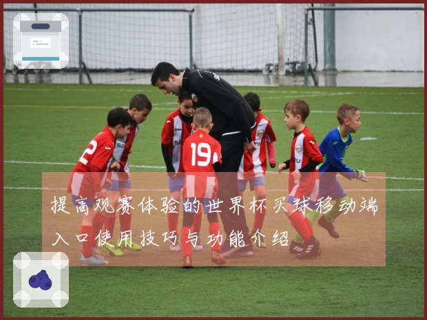提高观赛体验的世界杯买球移动端入口使用技巧与功能介绍