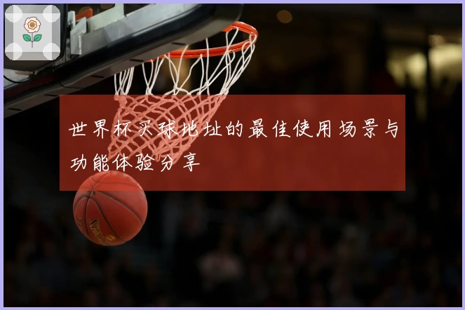 世界杯买球地址的最佳使用场景与功能体验分享