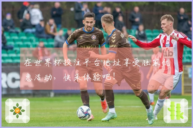 在世界杯投注平台地址享受独家优惠活动，快来体验吧！