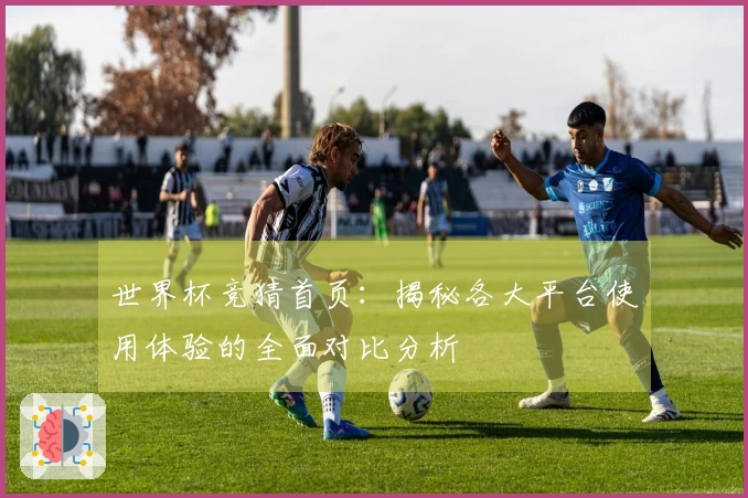 世界杯竞猜首页:揭秘各大平台使用体验的全面对比分析