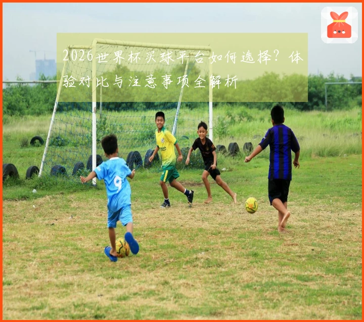 2026世界杯买球平台如何选择？体验对比与注意事项全解析