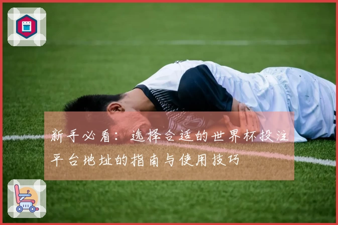 新手必看：选择合适的世界杯投注平台地址的指南与使用技巧