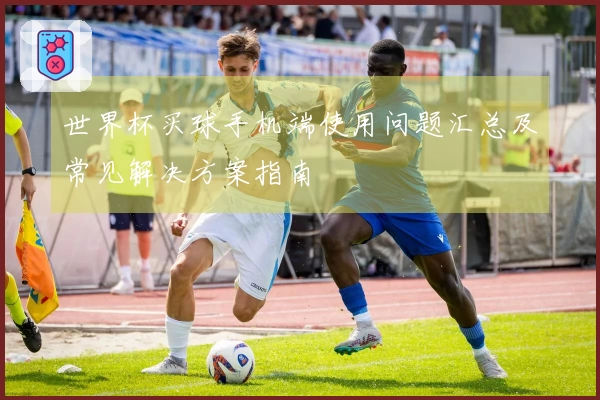 世界杯买球手机端使用问题汇总及常见解决方案指南