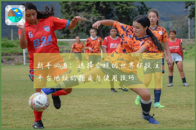 新手必看:选择合适的世界杯投注平台地址的指南与使用技巧