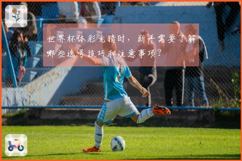 世界杯体彩竞猜时，新手需要了解哪些选号技巧和注意事项？